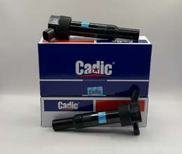  Hyundai Elantra 2011-2015 Alışdırma Bobinləri