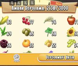 Hay Day 173 Səviyyə 