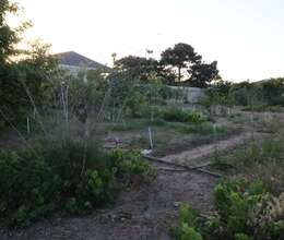 3 sot torpaq sahəsi