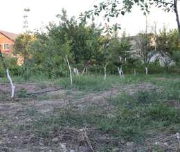 2 sot torpaq sahəsi