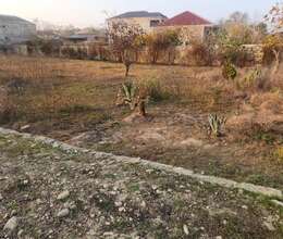 1.5 sot torpaq sahəsi satılır