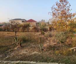 2 sot torpaq sahəsi