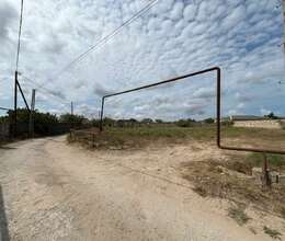 18 sot torpaq sahəsi