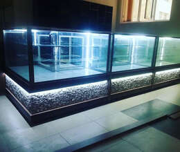 Şirniyyat vitrini soyuducusu satilir