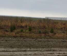 100 hektar Kənd Təsərrüfat Təyinatlı Ərazi  