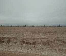 100 hektar Kənd Təsərrüfat Təyinatlı Ərazi  