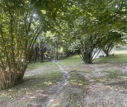 Satış Həyət evi, 11m²