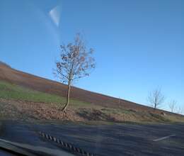   9.6 hektar Sənaye Təyinatlı  yer