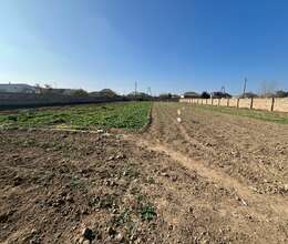 36 sot torpaq satılır