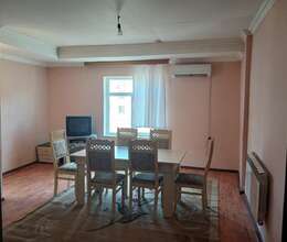 Kirayə verilir Yeni tikili, 50m², 2-Otaqlı