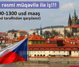 Çexiyada iş və Həyat