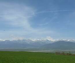 150 sot sahibkarlıq torpağ satıram Əniq kəndi