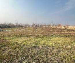 Satilir 64 sot torpaq (xurma bagi) Goycay rayonu