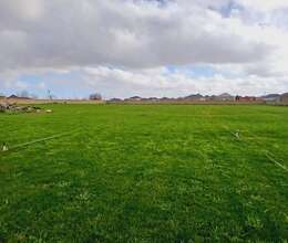 Buzovnada torpaq satılır