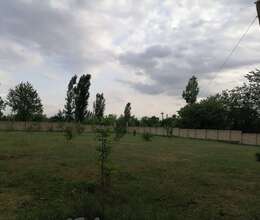 Buzovnada torpaq satılır