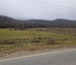  81 sot torpaq satılır Xüsusi Mülkiyyət              