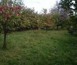 TƏCİLİ SATILIR — MÖHTƏŞƏM MEYVƏ BAĞI OLAN TORPAQ!