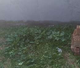 Satış Həyət evi, 100m²