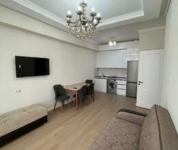 Kirayə verilir Yeni tikili, 50m², 2-Otaqlı