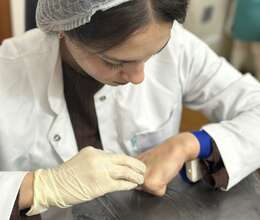 Tibb bacısı və Qardaşı kursu