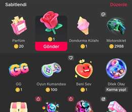 Tiktok hesabı 27LvL 