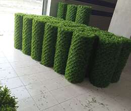 Yaşıl hasar-setka ,qazon,Çim çit