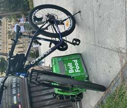 29-luq Champion Velosiped