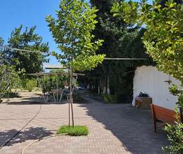 Nardaranda torpaq satılır