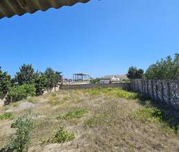 Nardaranda torpaq sahəsi satılır