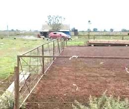  Ferma satılır  Xaçmazda 