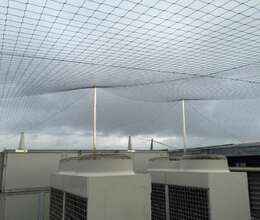 Quşlardan qorunma torları(quş filesi)