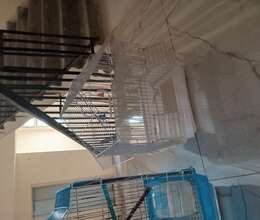 Quş üçün qəfəslər