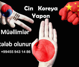 Yapon Dili Müəlliməsi axtarırıq sərbəst qrafikli