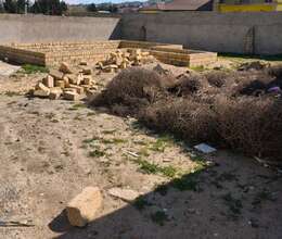 Masazır Torpaq, 4sot