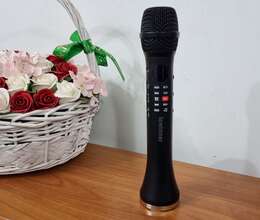 Karaoke mikrofon Lewinner L-699