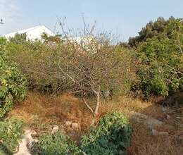 Satılır torpaq 3 sot, Bakıxanov q.