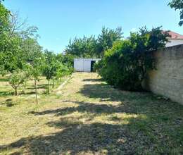 Ceyranbatanda torpaq satilir