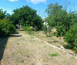 Ceyranbatan qəsəbəsində torpaq satılır