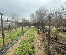 Maştağada  torpaq satılır