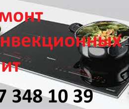 Ремонт Конвекционных Плит.