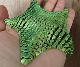 Dəniz ulduzu fidget