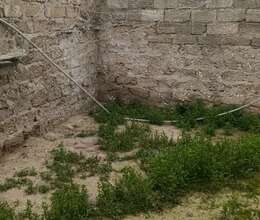 Satış Həyət evi, 50m²