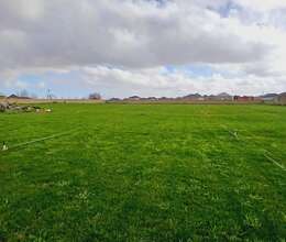 Torpaq sahəsi satılır