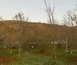 Satılır torpaq 7 sot, Qəbələ