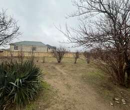 12 sot torpaq sahəsi satılır