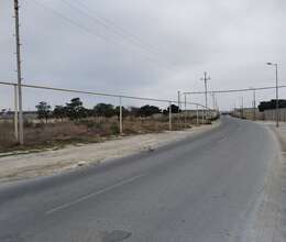 Binə qəsəbəsi 250 sot 