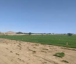 Satılır torpaq 300 sot