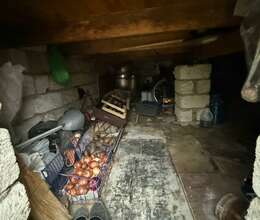 House with Garden, Villa For Sale