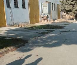 Obyekt İcarəyə verilir