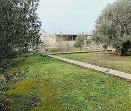 25 sot torpaq sahəsi satılır